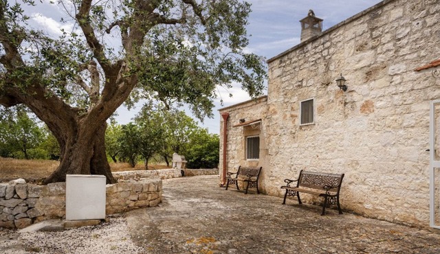 Beautiful villa with garden, surrounded by olive trees and equipped with all the comforts to comfortably accommodate 2 people, including parking and a patio equipped with barbecue for eating and enjoying pleasant moments of relaxation. The house is immer