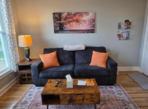 Beautifully Renovated Downtown 1 Bed 1 Bath Apt, Pet Friendly