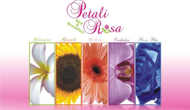 Beb Petali Rosa