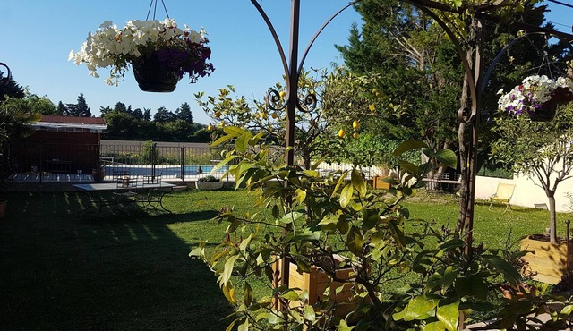 Bed and Breakfast Fleur de Garance with swimming pool 2 km from Isle sur la Sorgue