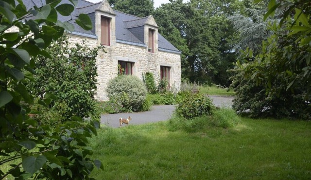 ---- Bed and breakfast--