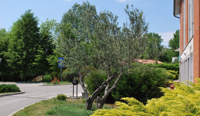 Bed and Breakfast Kogoj