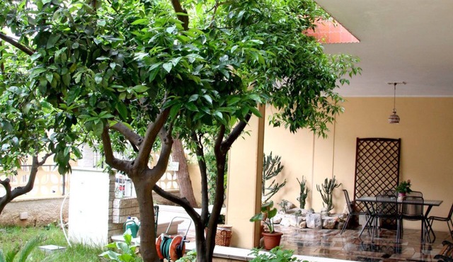 Bed and Breakfast L'Aranceto