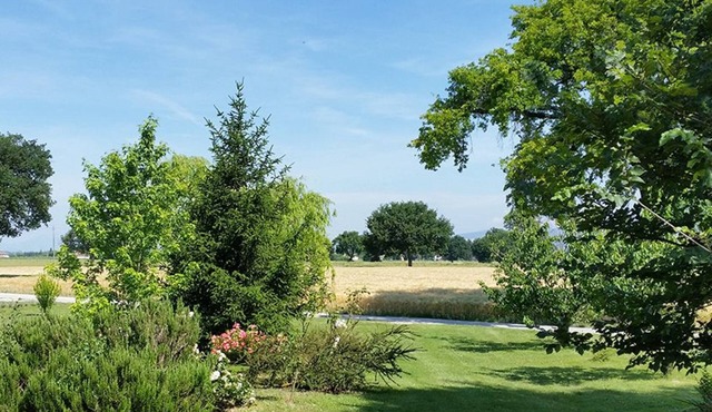 Bed and Breakfast Le Rose