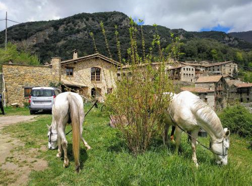 Bed&Breakfast la Cabanya de Beget