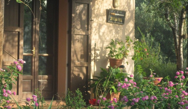 Bed & Breakfast Sa Ingia