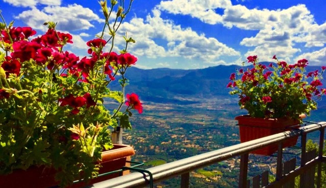 Bed & Breakfast Selvaggio Blu