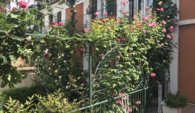 Bed & Roses "Meni"