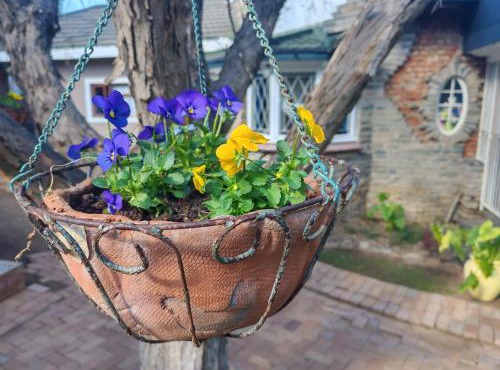 BEE-autiful Stay SC Garden Cottages