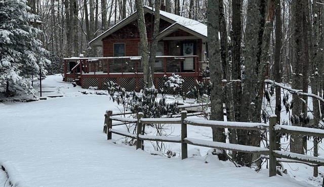 Beech Mtn. Cozy Private Cabin. Cool Weather! Get outdoors. Book 3 NTS Get 1 Free