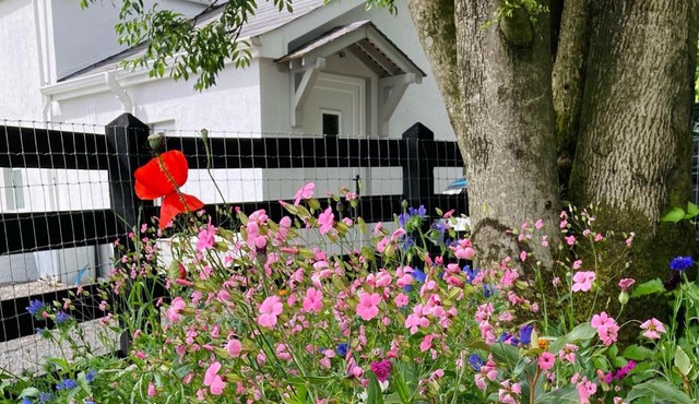 Beech Tree Cottage