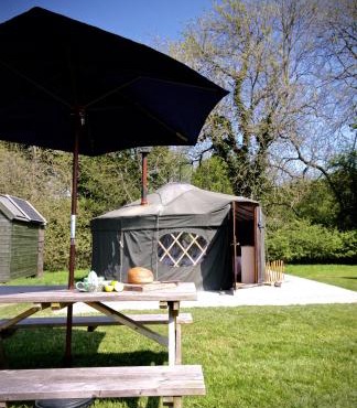 Beech Yurt