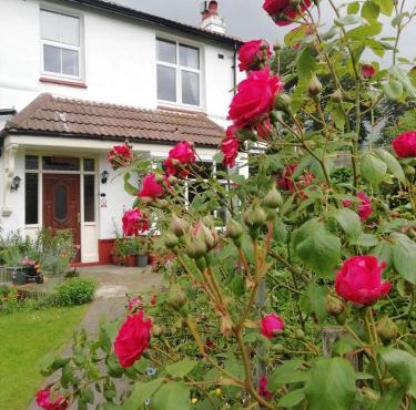 Beechlands B & B
