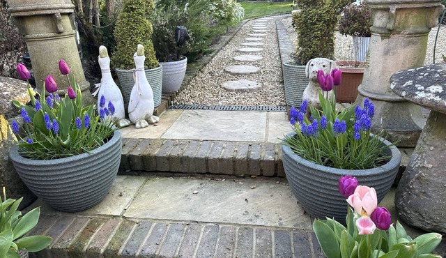 Beechwood B&B