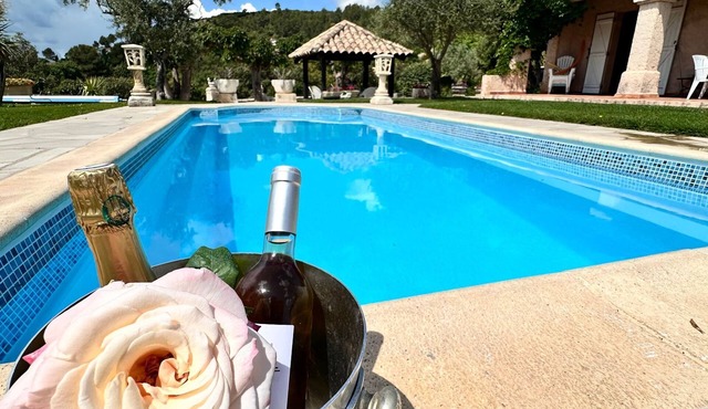 beheizter Pool ab Mitte April by Interhome