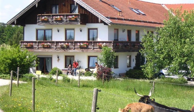 Beim Rieder