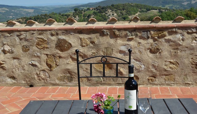 Bellavista Farmhouse between Mount Amiata and Val d'Orcia - Belvedere Apartment