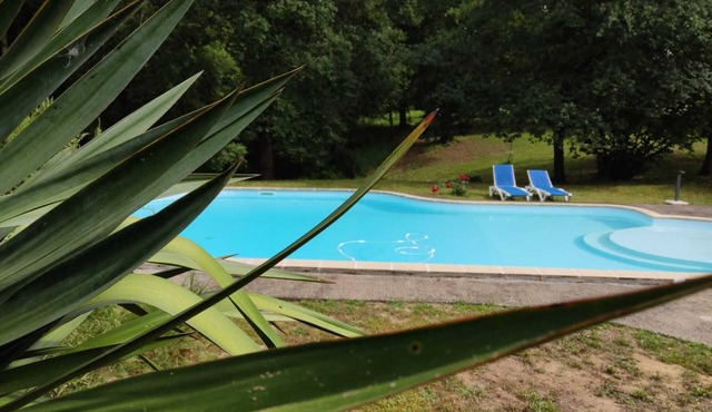 Belle Maison au Coeur des Landes Avec Grande Piscine