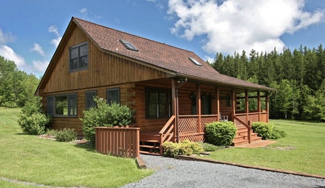 Belleayre Ski Cabin + summer retreat.