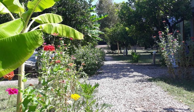 Bellerofon Camping