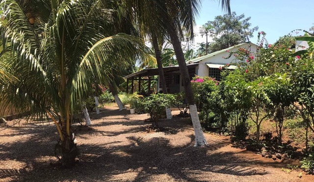 Bellevue under the coconut trees, Ambondrona, Nosy-be