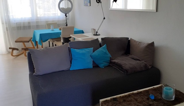 Bellevue vacation apartment