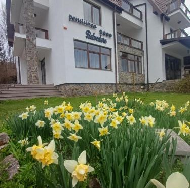 Belvedere GreșuLepșa