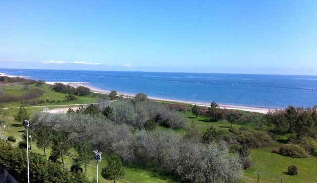 Belvedere