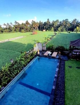 Beras Bali Suite