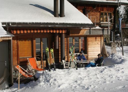 Bergdohle