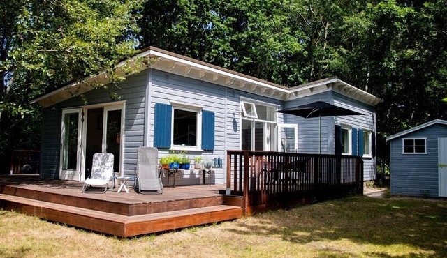 Berkenpad 5 comfortable holiday cottage in nature