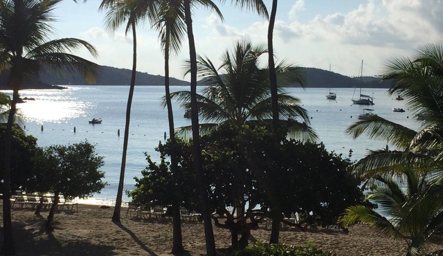 Best Beach Front Condo - 30ft from Cowpet Bay Beach - the Perfect Location!