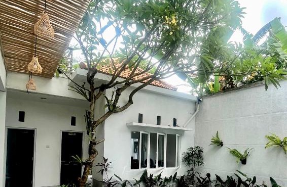 Best Canggu Hostel