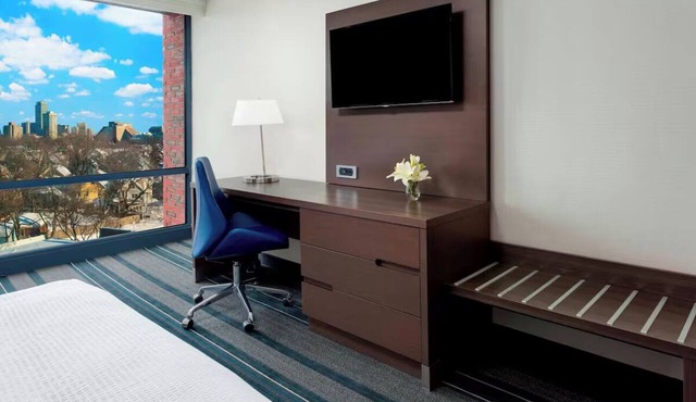 Best Value, Quality Stay! City View, Walk to Cafes, Shops & Universities