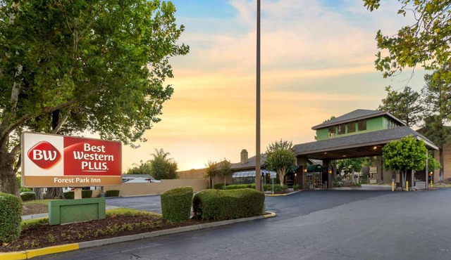 Best Western Plus Forest Park Inn