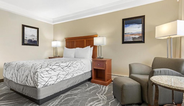 Best Western Plus Silver Saddle Inn