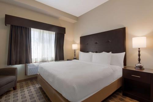 Best Western University Inn and Suites