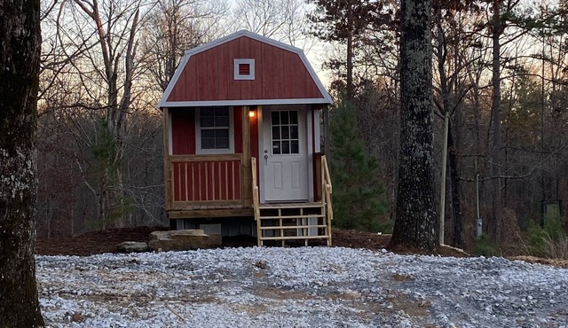 Between The Lakes Cozy Cabin- Free Park Pass