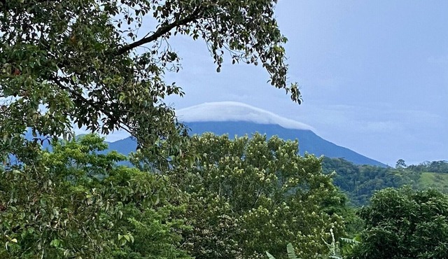 Between Two Volcanos: large studio in Bijagua - near Rio Celeste - Tenorio Park