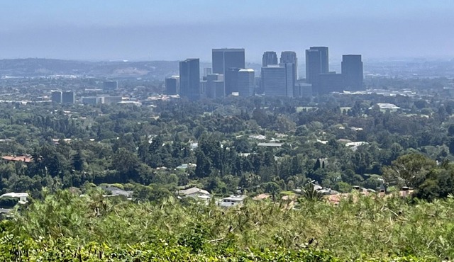 Beverly Hills Mid Century Oasis with City Views and Pool!