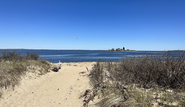 Biddeford Pool Condo/Beach Shack steps from beach, 1 BR/1 Bath