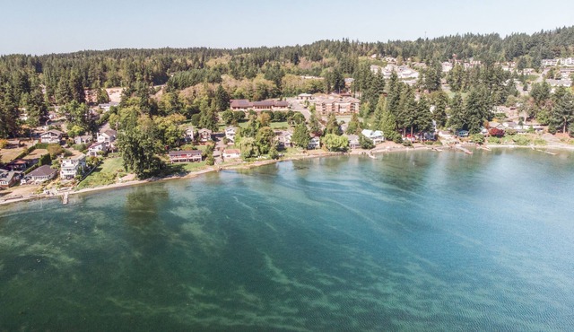 Big Beachfront Home. Walk to Ferry or Town, Kayak, Crab, Relax---NO CLEANING FEE