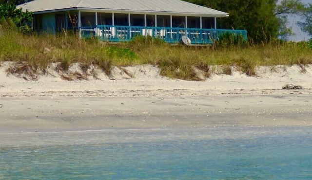Big Blue: 4BR beachfront; sundeck and huge screened porch