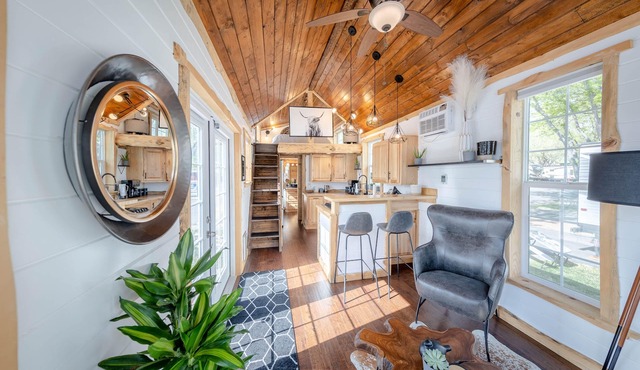 Big Profile, Tiny Mtn Cabin