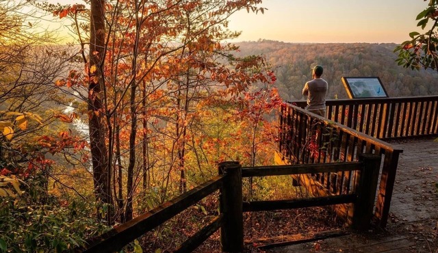𝐁𝐢𝐠 𝐒𝐨𝐮𝐭𝐡 𝐅𝐨𝐫𝐤 Retreat! Excellent Location Private WIFI~ All NEW 𝐓𝐫𝐞𝐞 𝐓𝐨𝐩 𝐋𝐨𝐝𝐠𝐞!