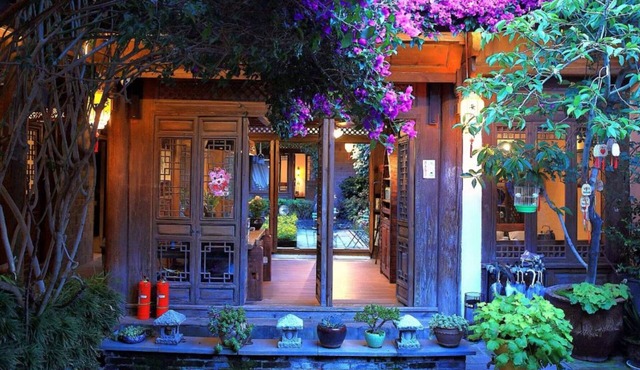 Big Tree Guesthouse