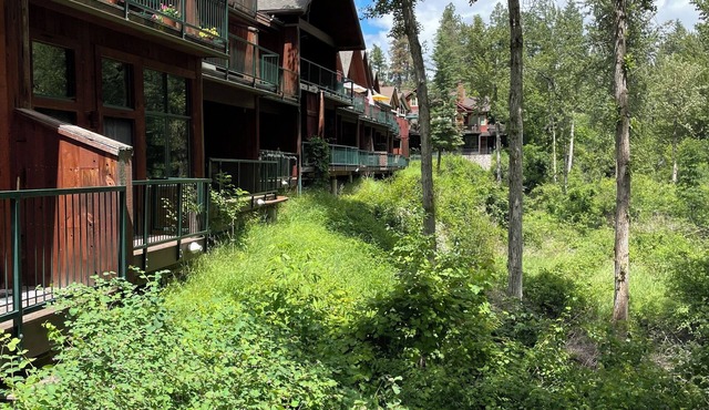 Bigfork "Suite on the Swan" River