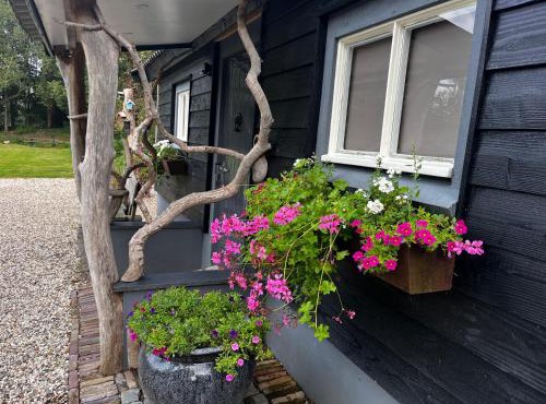 Bij Boom