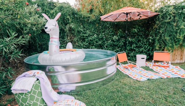 Biltmore Area Cottage w/Stock Tank Pool