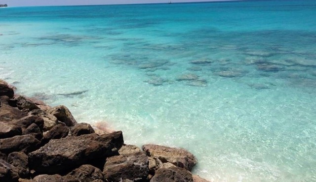 Bimini, Cracked Conch 18 slip - 60Ft